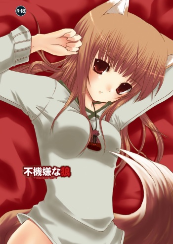 Fukigen na Ookami cover
