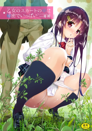 Otome no Skirt no naka wa Himitsu de Ippai cover