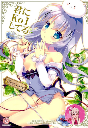 Kimi ni koi Shiteru cover