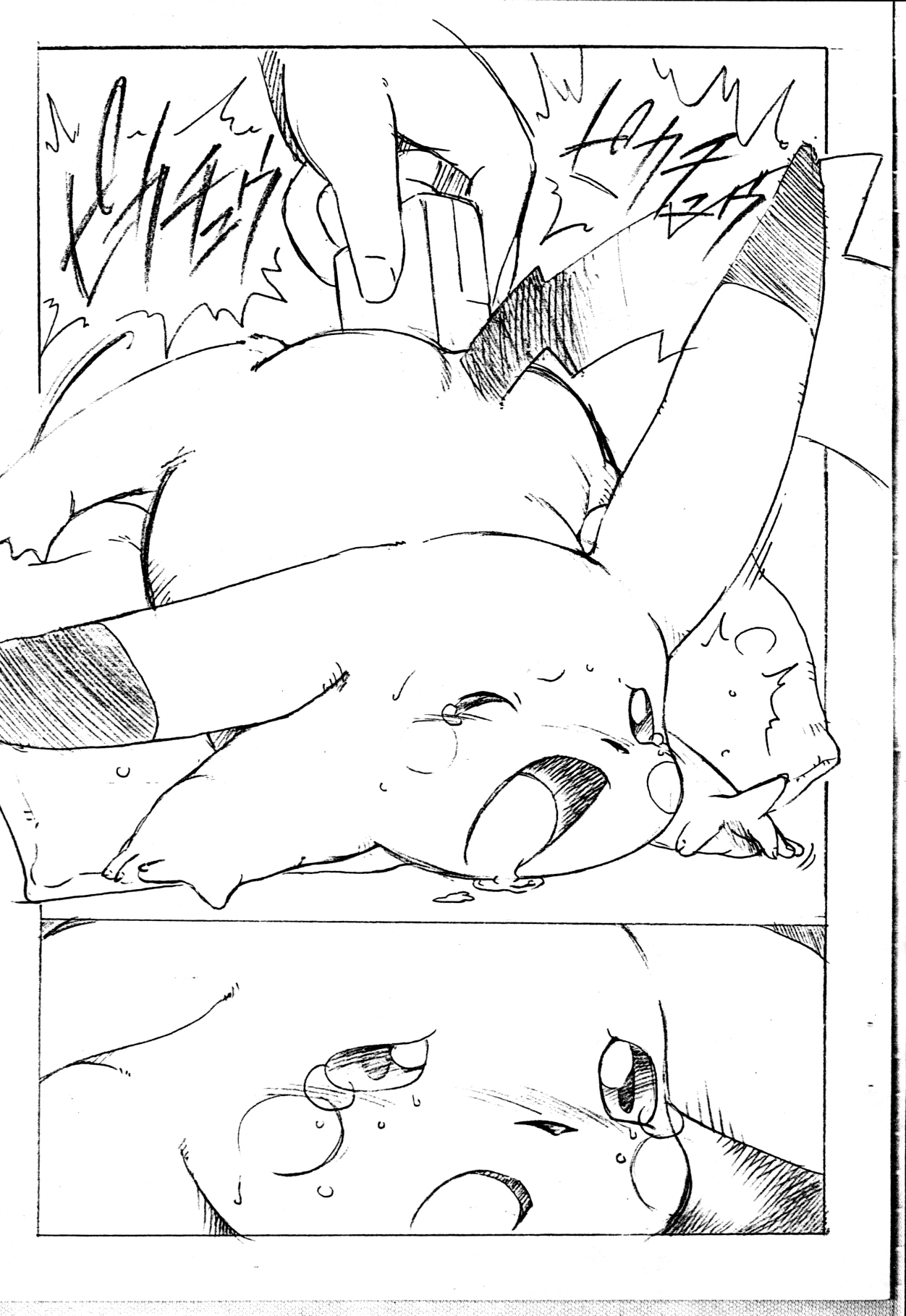 POCKET2 page 5 full