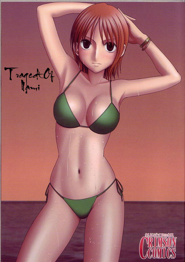 Nami - One piece Slut page 2 full