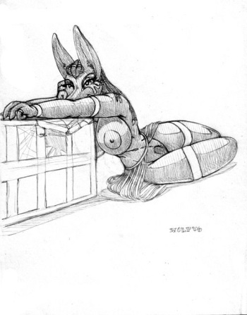 Wolf Kidd cover
