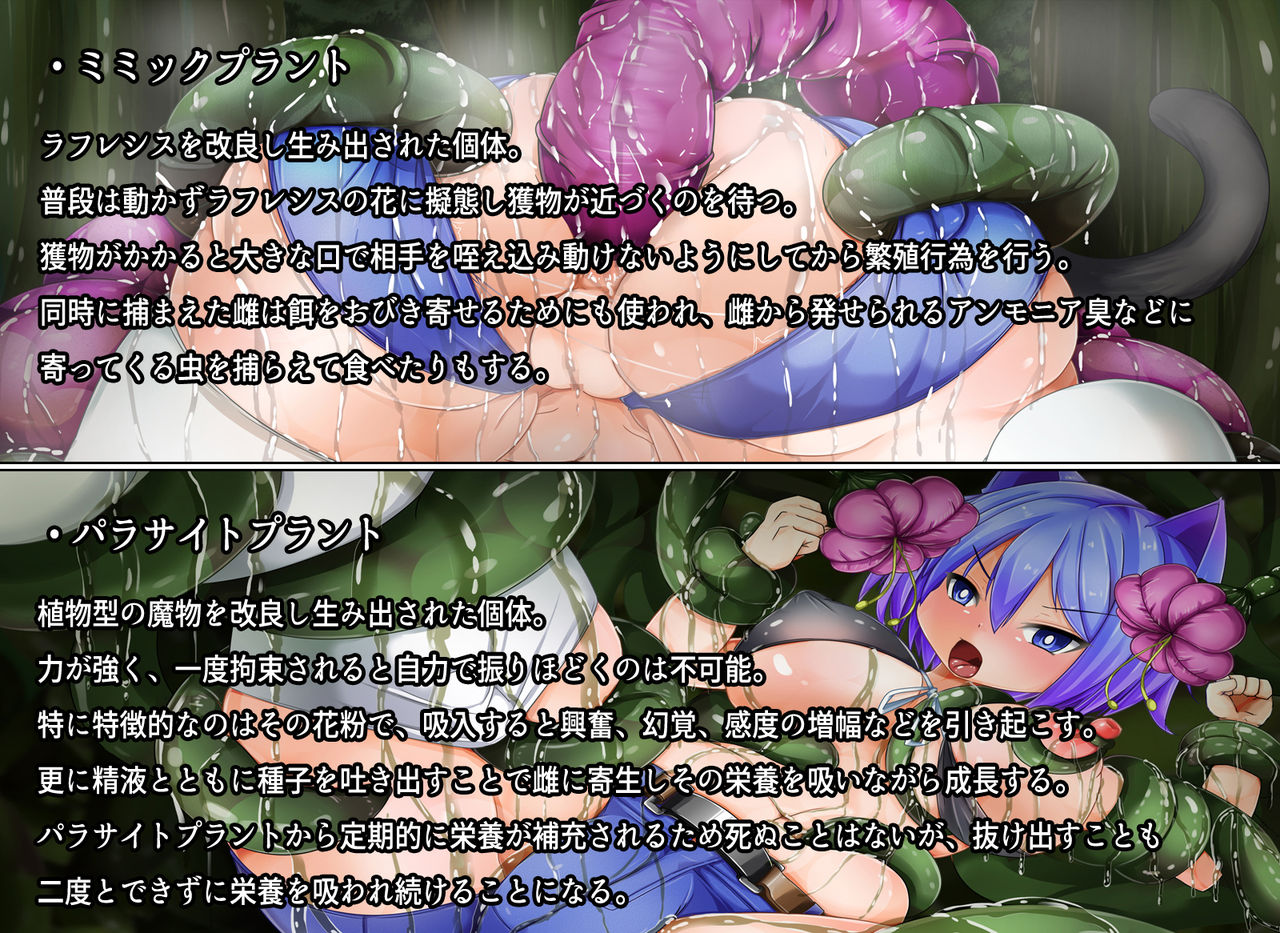 Treasure Island ~Zenjinmitou no Shima de Anal Ochi suru Nekomimi Musume~ page 6 full