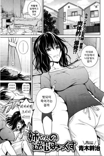Nee-chan no Sakauramix cover