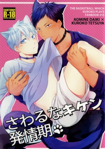 Sawaru na Kiken Hatsujouki cover