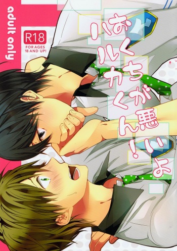 Okuchi ga Warui yo Haruka-kun! cover