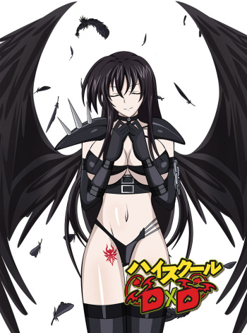 Highschool DxD cover