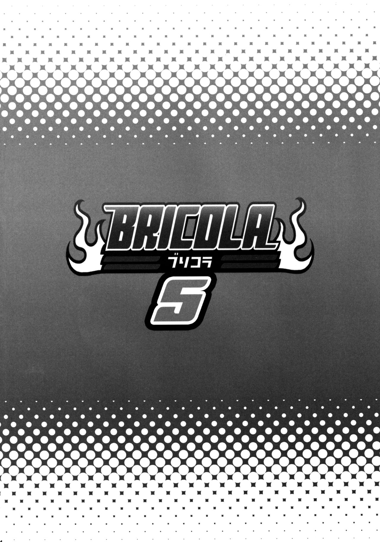 BRICOLA 5 page 3 full