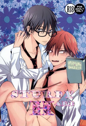 STURDY HARD cover