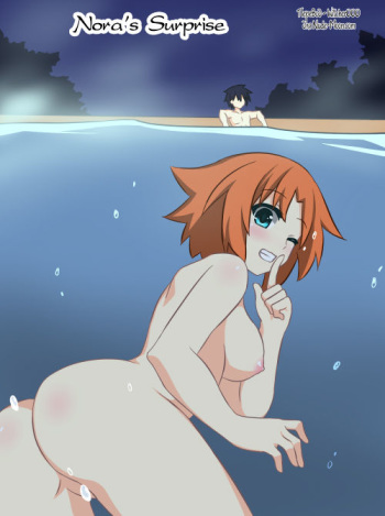 Nora's Surprise cover