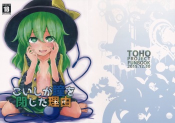 Koishi ga Hitomi o Tojita Wake cover
