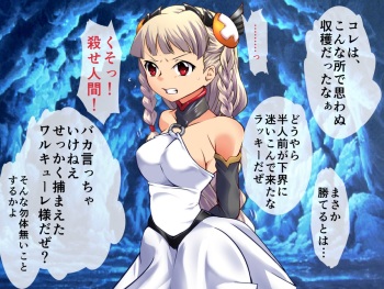 Mon Musume &amp; DISTRESS Sen Otome hokaku CG Shuu cover