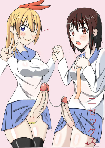 Nisex cover