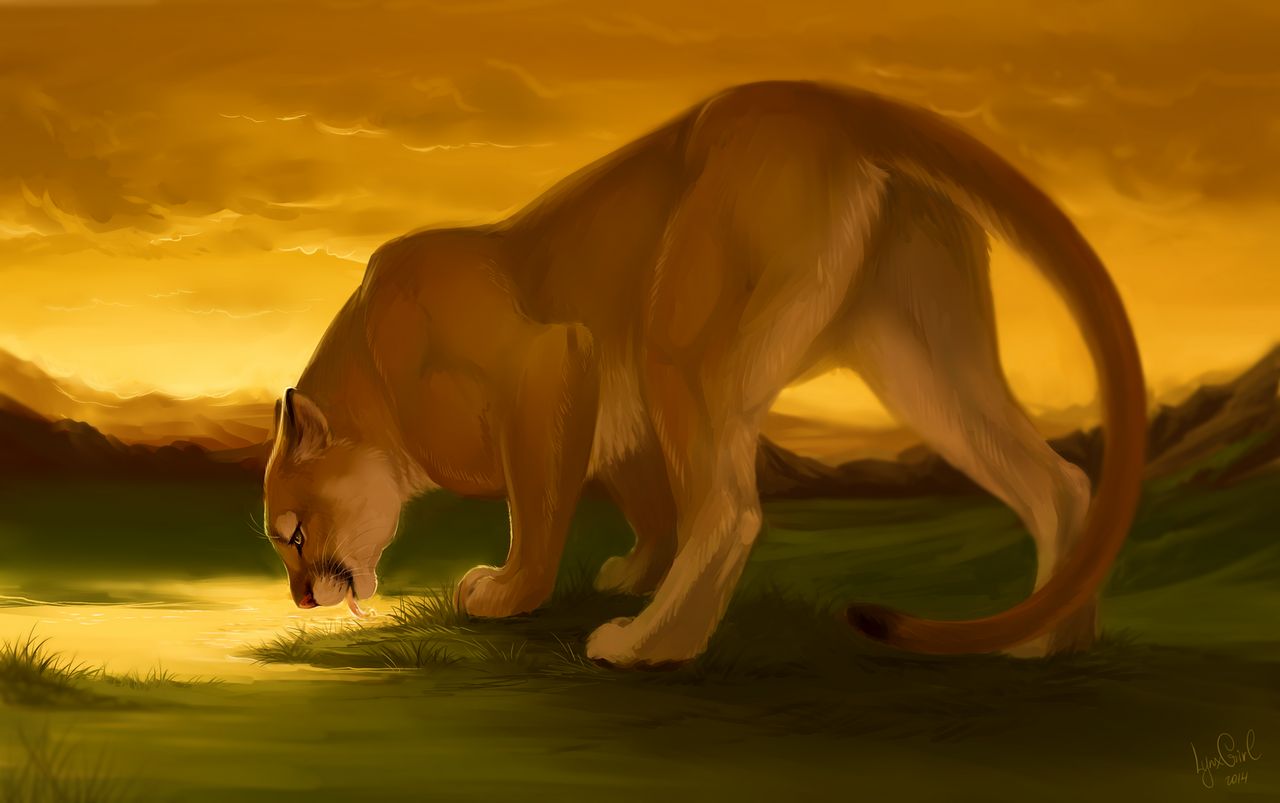 Artist - Reallynxgirl page 6 full