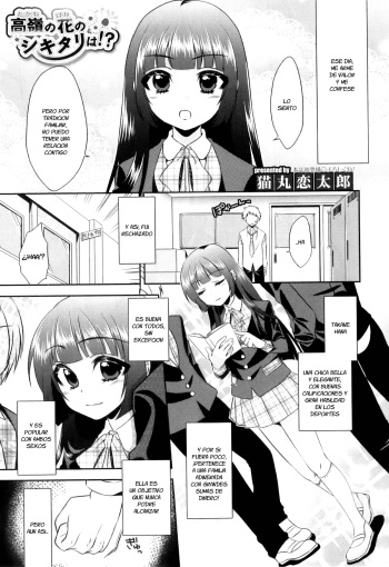 Takane no Hana no Shikitari wa!? cover