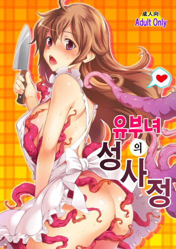 Aru Hitozuma no Seijijou | 유부녀의 성사정 cover