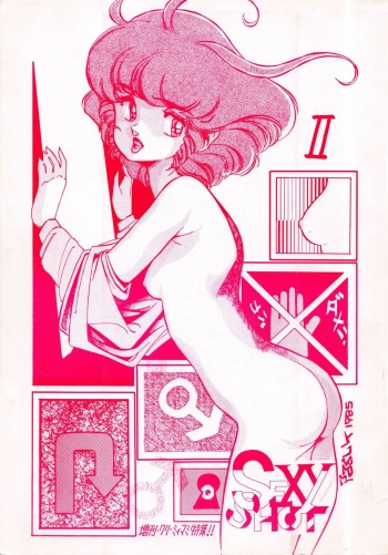 SEXY SHOT Zoukan 2 cover