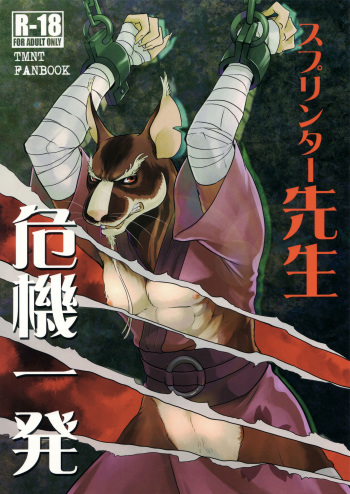 Splinter-sensei Kiki-ippatsu cover