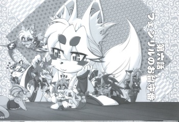 Mahou no Juujin Foxy Rena 4.5 cover
