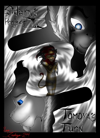 Sidern's Project II cover