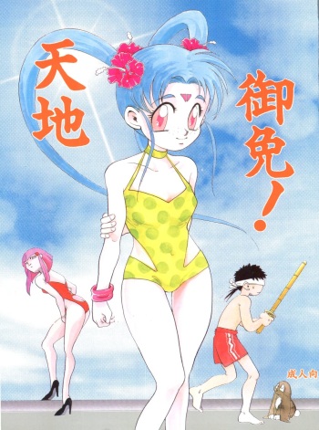 Tenchi Gomen! cover