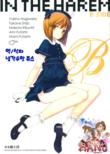 IN THE HAREM B SIDE cover