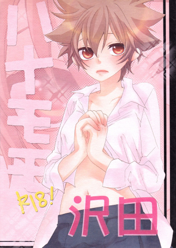 Hana Momo -Sawada- cover