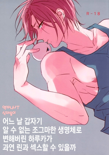 Can Haruka Have Sex with Rin After Suddenly Turning Into an Odd Little Lifeform? | 어느 날 갑자기 알 수 없는 조그마한 생명체로 변해버린 하루카가 과연 린과 섹스할 수 있을까 cover