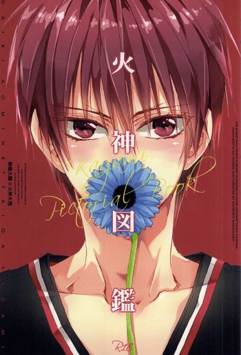 Kagami Zukan - Kagami Pictorial Book cover