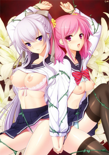 Sei Shoujo the animation cover