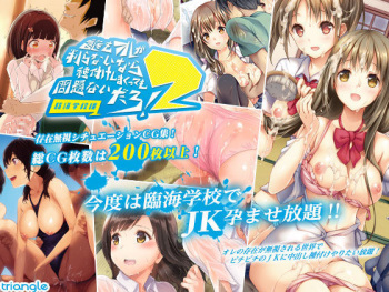 Dare mo Ore ga Wakaranai nara Tanetsuke Shi Makutte mo Mondai nai daro! 2 ~Rinkai Gakkou Hen~ cover