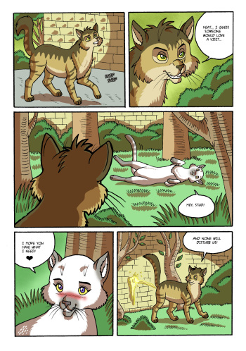 In The Garden cover