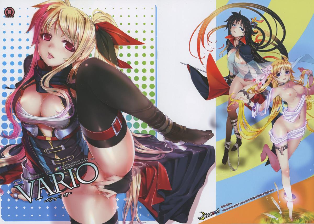 vario page 1 full
