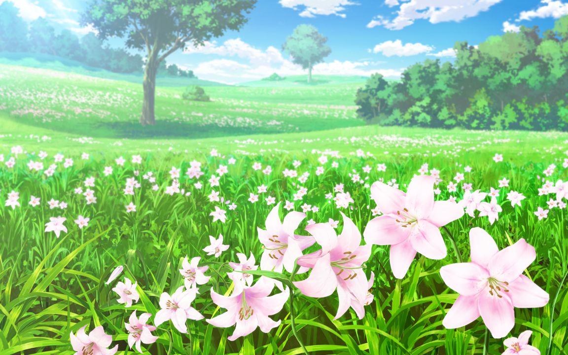 Maggot Baits page 4 full