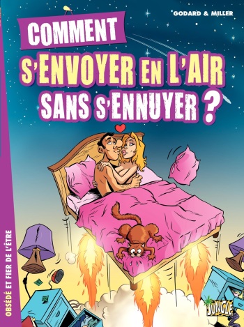 Comment s'envoyer en l'air sans s'ennuyer ? cover