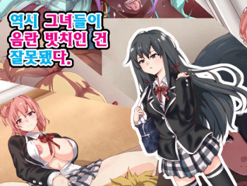 Yahari Kanojo-ra ga Inran Bitch nano wa Machigatteiru. cover