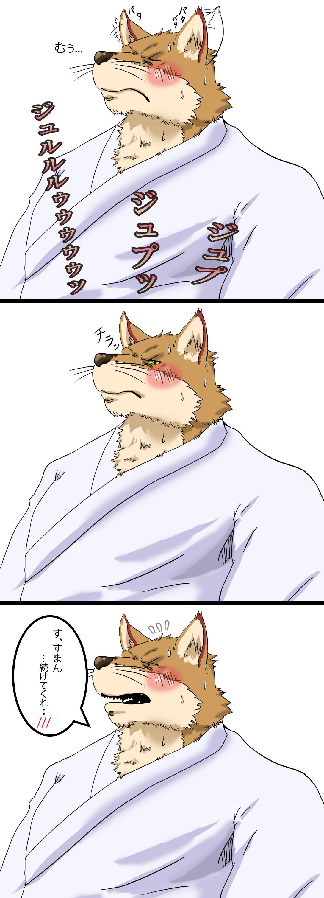 Collection: Bleach - Komamura Sajin. page 5 full