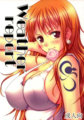 Weather report cover