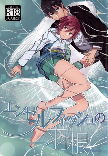 エンゼルフィッシュの羽根 cover
