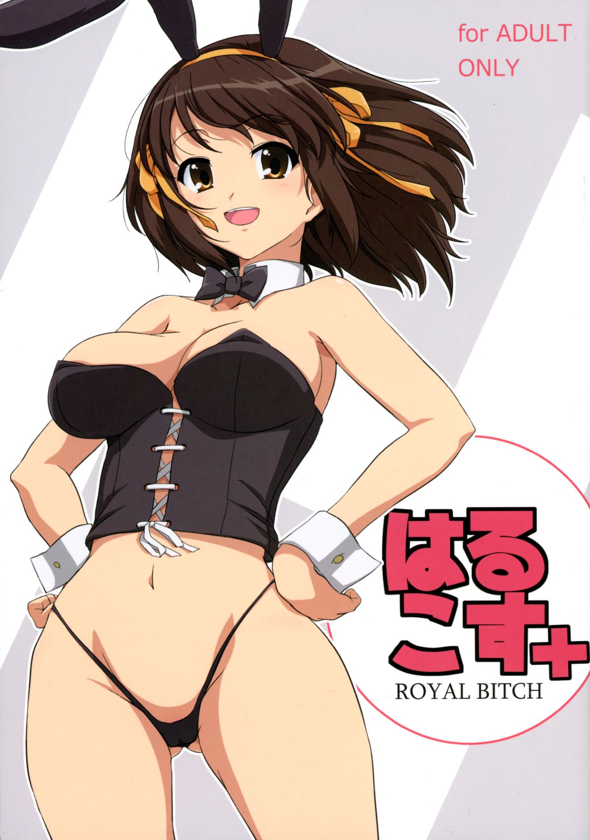 HARUCOS+ page 1 full