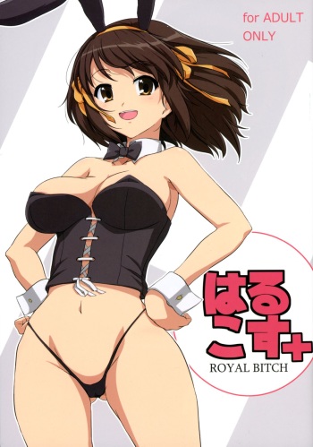 HARUCOS+ cover
