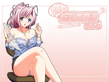 Ane wa Kyonyuu Eroman Henshuusha 2 ~Ryoujoku Choukyou Niku Ningyou Hen~ cover