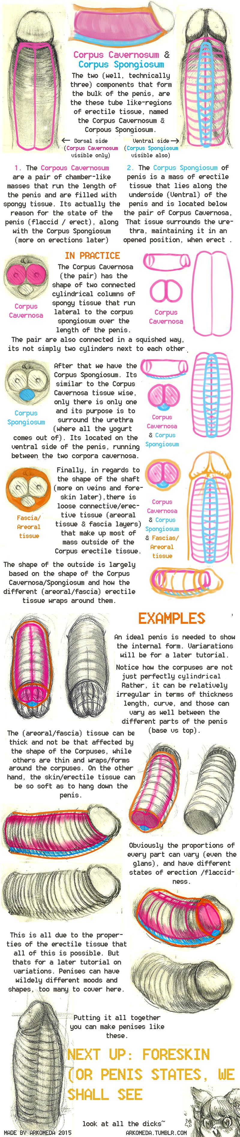 Arkomeda's Tutorials page 5 full