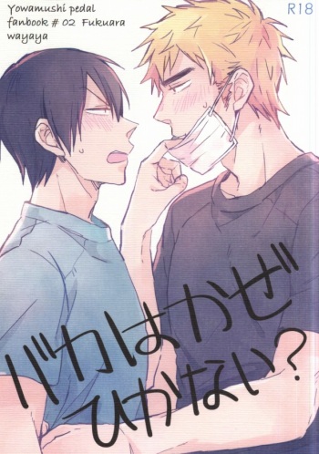 Baka wa Kaze Hikanai? cover