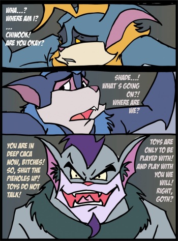 Silverwing cover