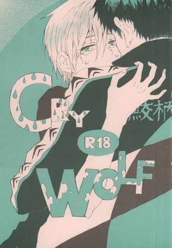 CRY WOLF cover