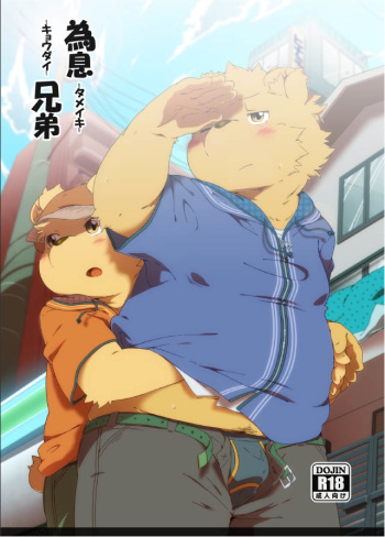 Tameiki Kyoudai cover