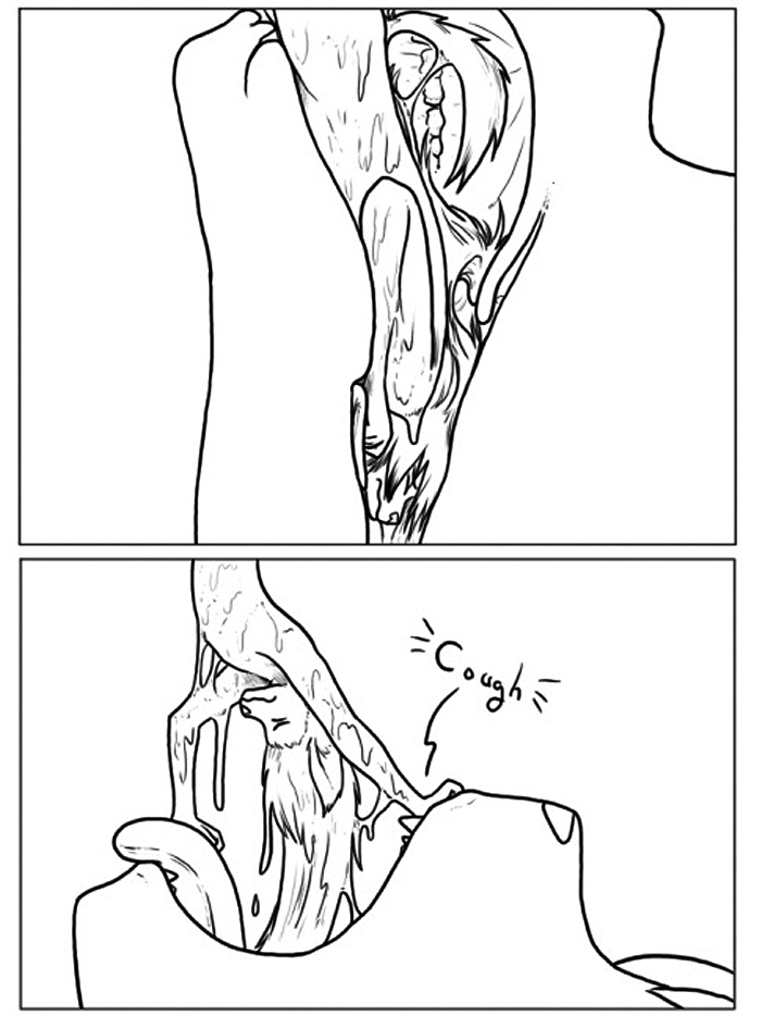 Murdock Noms page 6 full