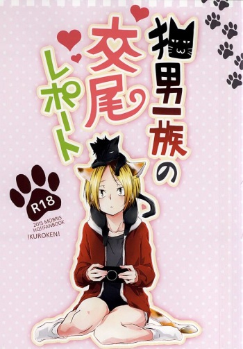Neko Otoko Ichizoku no Koubi Report cover