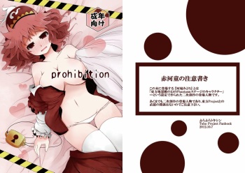 prohibition cover